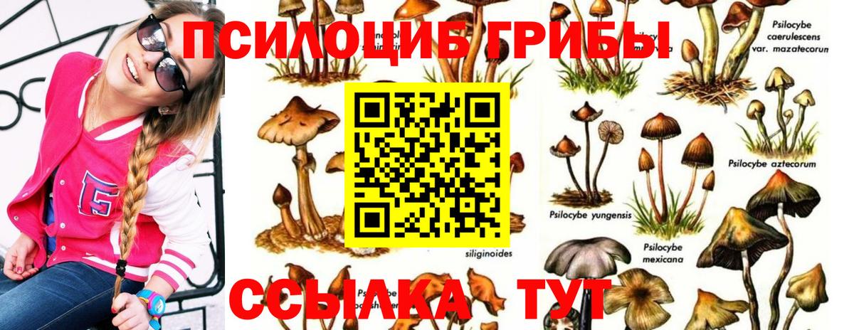 Псилоцибиновые грибы мухоморы Кувандык
